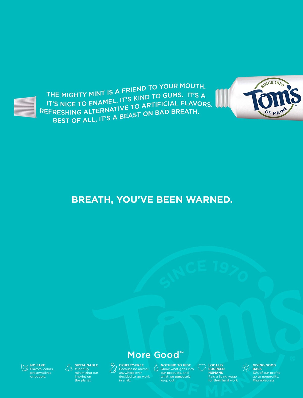 toms04