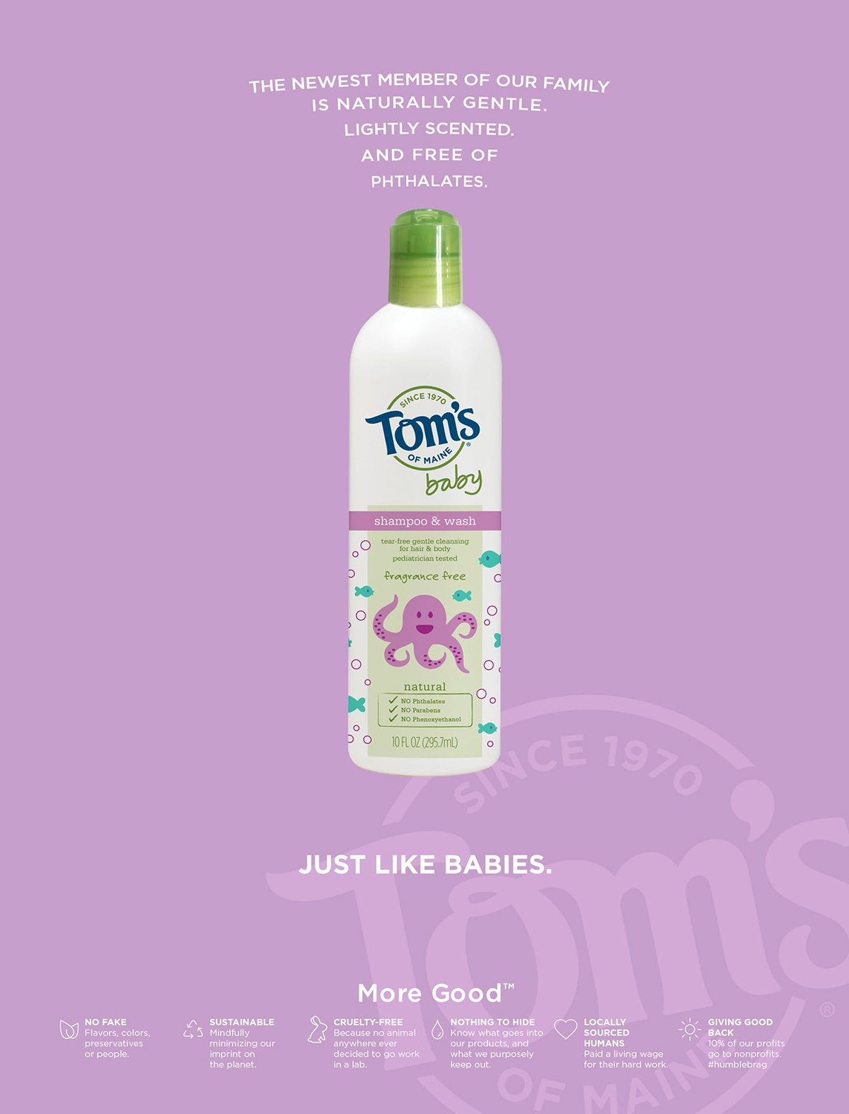toms06